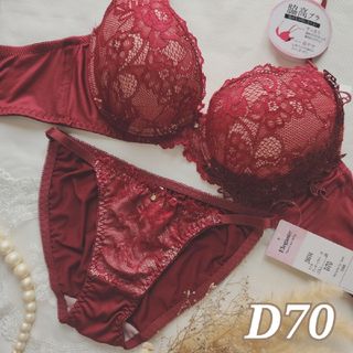 №119【D70】クラシカルシアーフラワーレース 育乳 脇高 ブラ＆ショーツ(ブラ&ショーツセット)