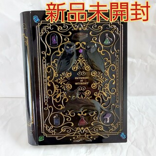 カルディ(KALDI)の新品／ カルディ　ハロウィン　魔法辞書　クッキー入り(小物入れ)