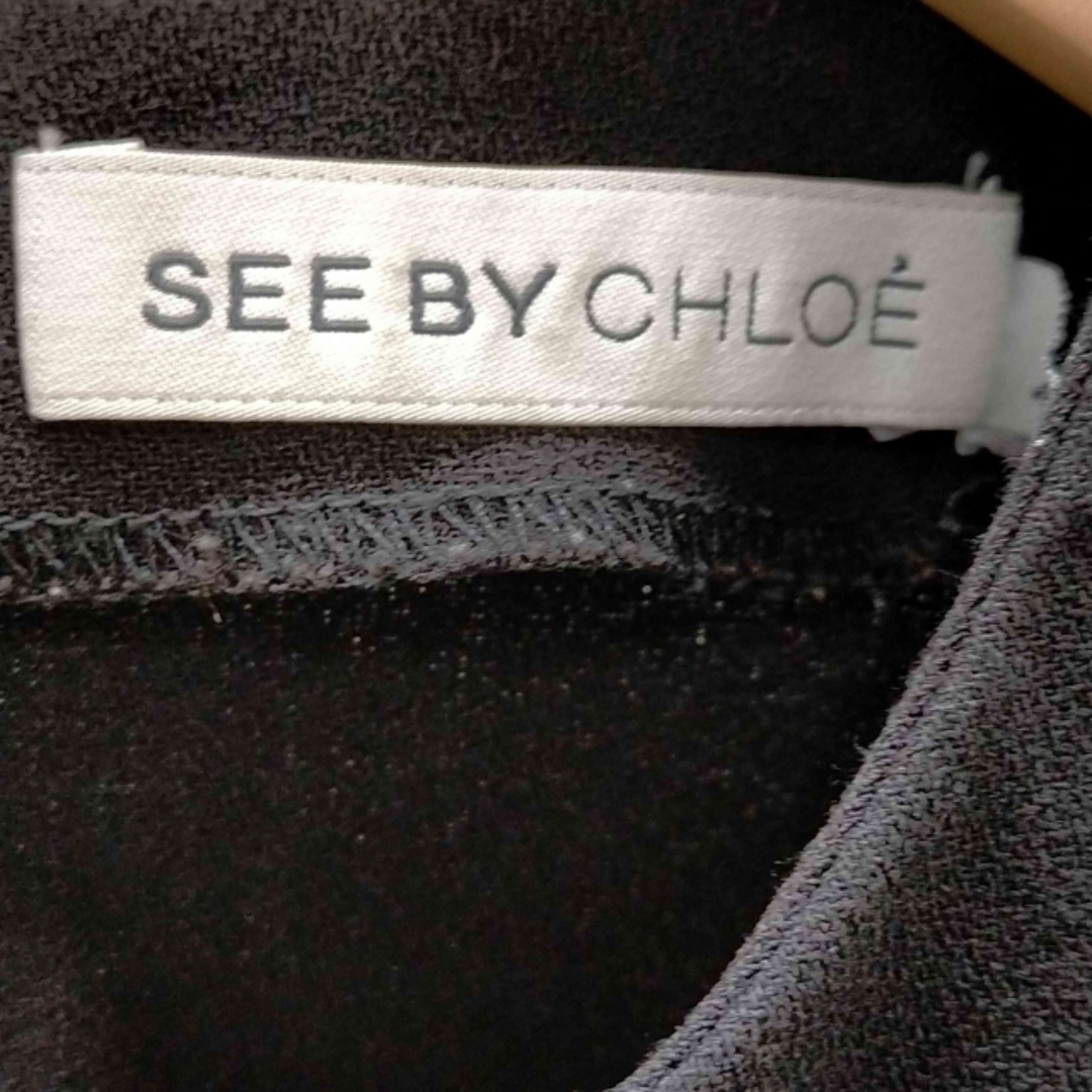 SEE BY CHLOE(シーバイクロエ)のSEE BY CHLOE(シーバイクロエ) 袖プリーツ ブラウス レディース レディースのトップス(シャツ/ブラウス(長袖/七分))の商品写真