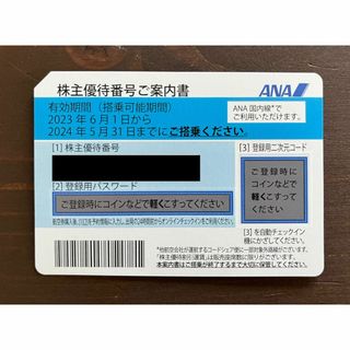 エーエヌエー(ゼンニッポンクウユ)(ANA(全日本空輸))のANA/全日空　株主優待券1枚 (有効期間2024年5月31日)(その他)