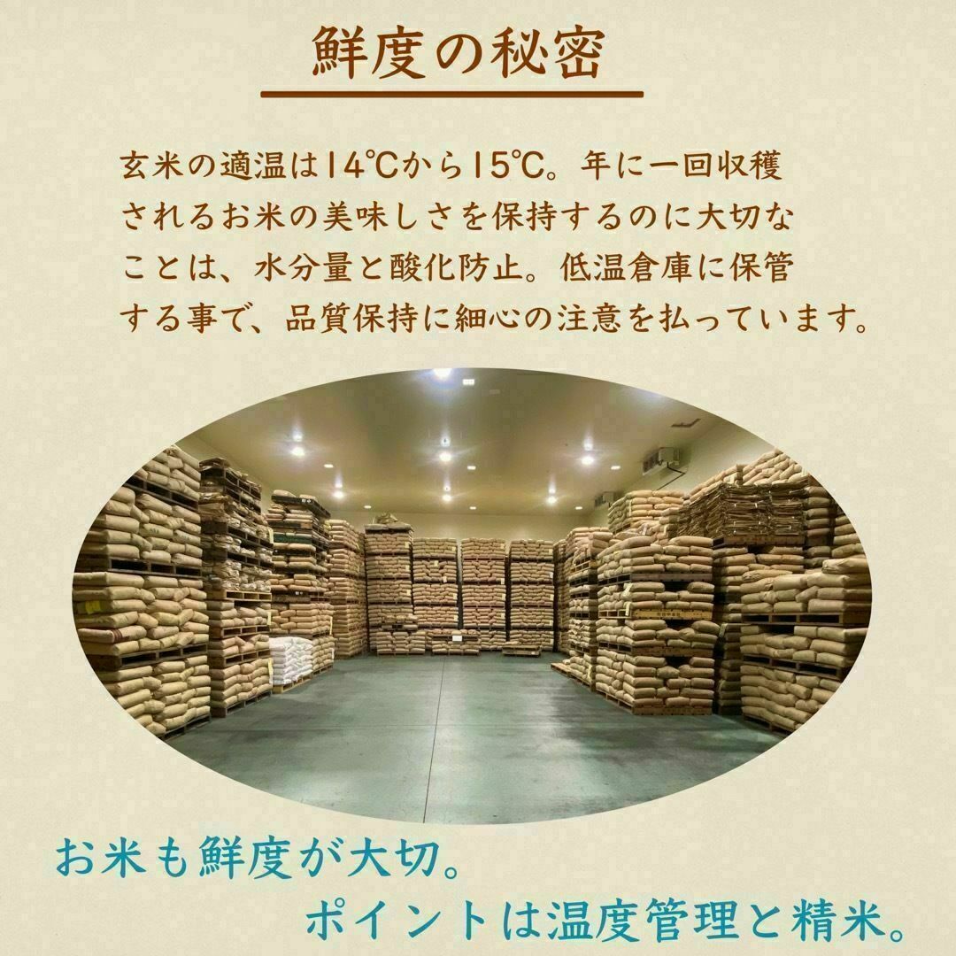 生活応援米 20kg コスパ米 大粒入り お米 おすすめ 激安 美味しい 安い