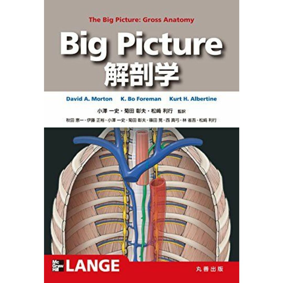 Big Picture 解剖学 (Lange Textbook シリーズ) [大型本] David Morton、 Kurt Albertine、 K. Bo Foreman、 小澤 一史、 菊田 彰夫; 松? 利行