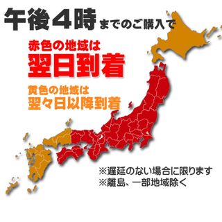 Canon - 新品 プリンター 本体 CANON 印刷機 コピー機 複合機