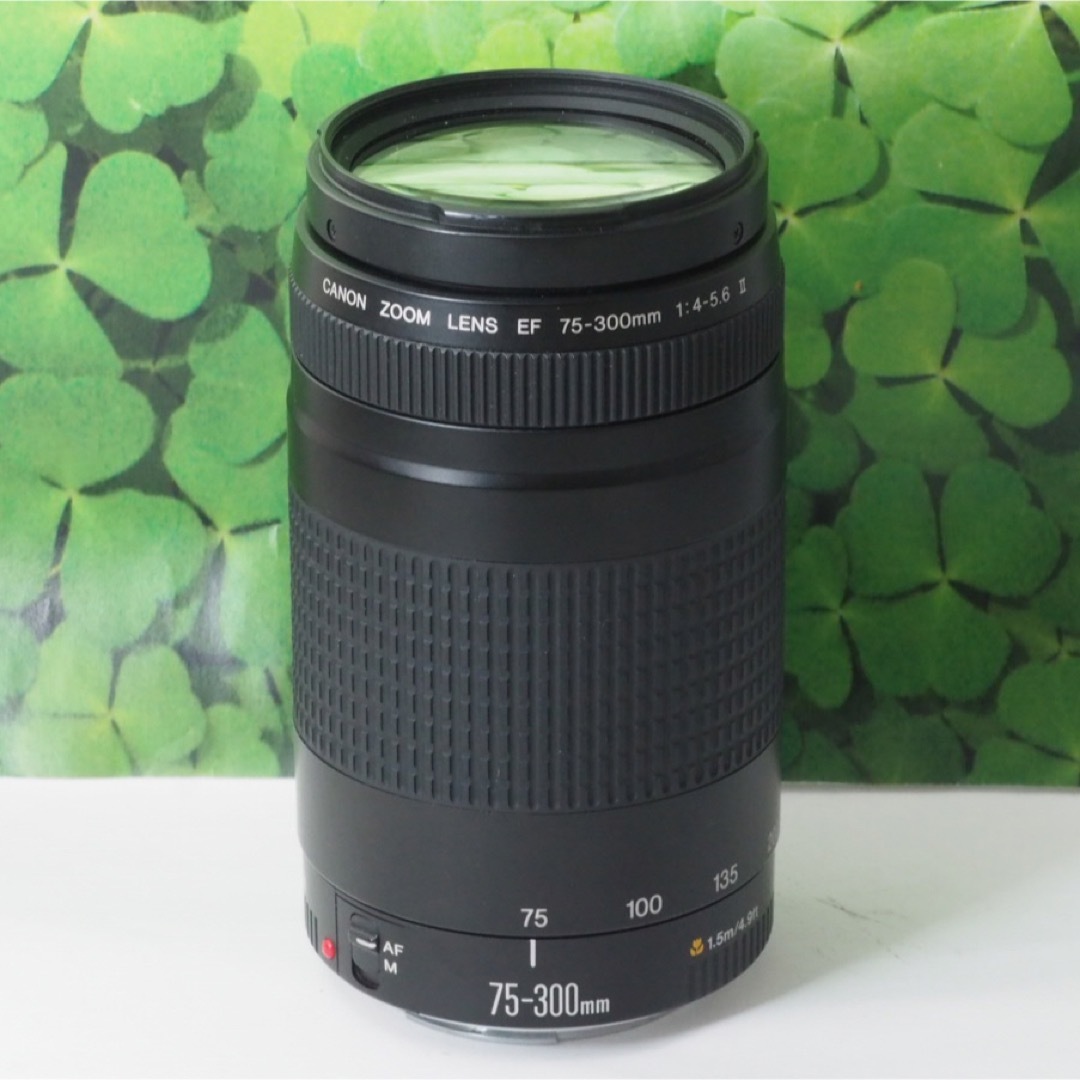 Canon(キヤノン)の【美品】キャノンEF75-300mm超望遠ズーム❤️スポーツやイベントで大活躍 スマホ/家電/カメラのカメラ(レンズ(ズーム))の商品写真