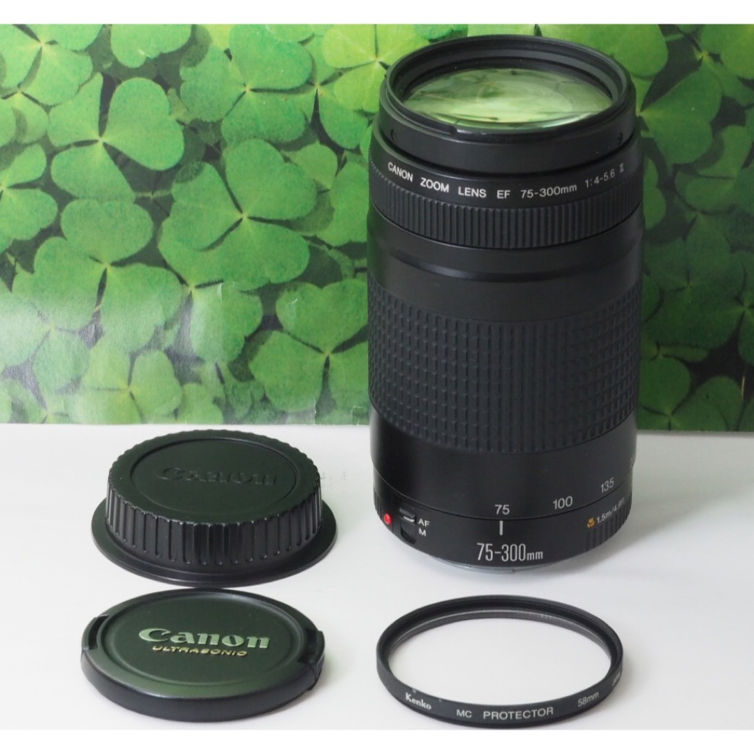 Canon(キヤノン)の【美品】キャノンEF75-300mm超望遠ズーム❤️スポーツやイベントで大活躍 スマホ/家電/カメラのカメラ(レンズ(ズーム))の商品写真