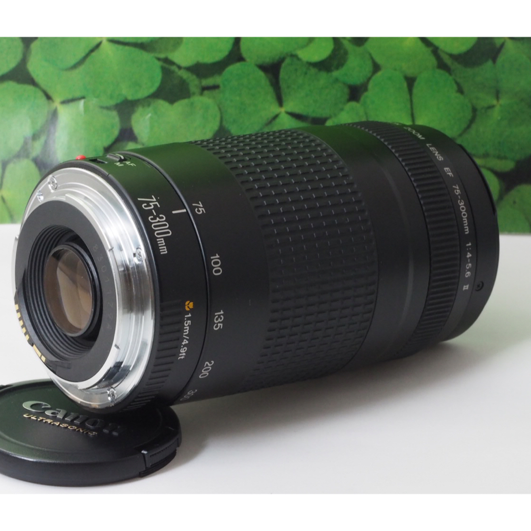 Canon(キヤノン)の【美品】キャノンEF75-300mm超望遠ズーム❤️スポーツやイベントで大活躍 スマホ/家電/カメラのカメラ(レンズ(ズーム))の商品写真