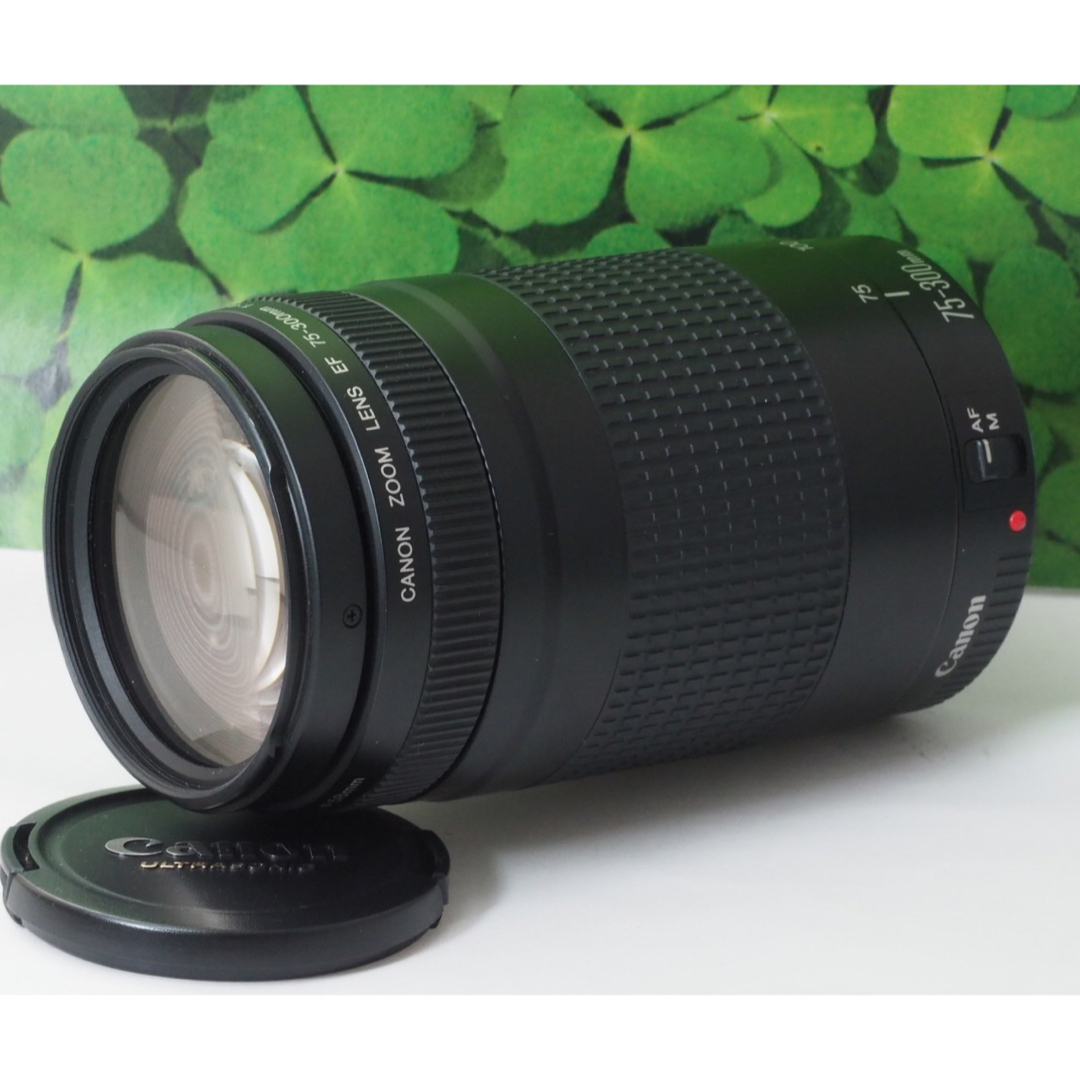 Canon - 【美品】キャノンEF75-300mm超望遠ズーム❤️スポーツや