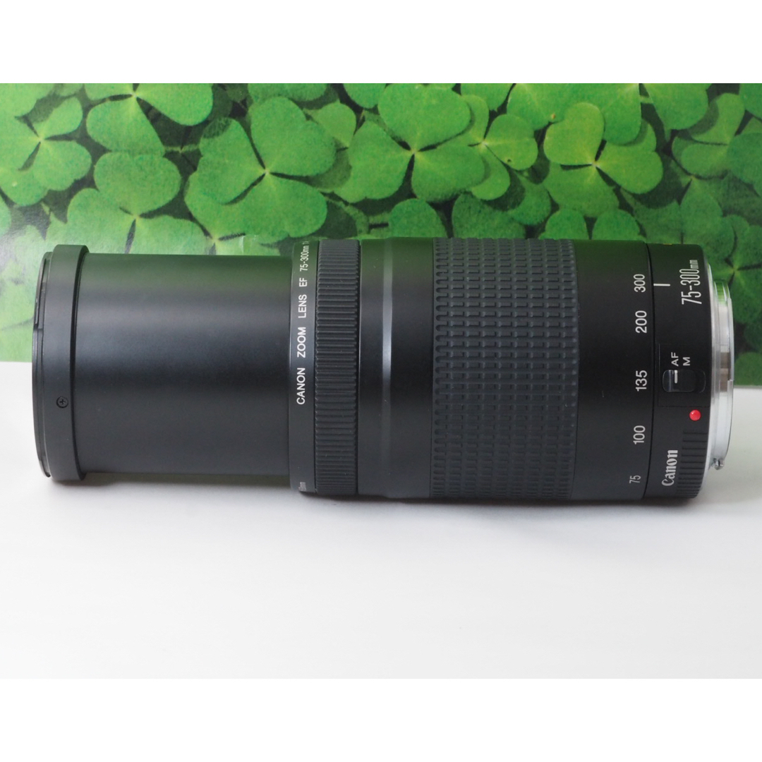 Canon(キヤノン)の【美品】キャノンEF75-300mm超望遠ズーム❤️スポーツやイベントで大活躍 スマホ/家電/カメラのカメラ(レンズ(ズーム))の商品写真