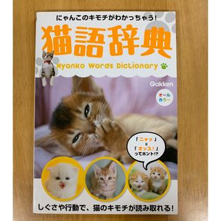 猫語辞典♡ねこのきもち♡保護猫(猫)