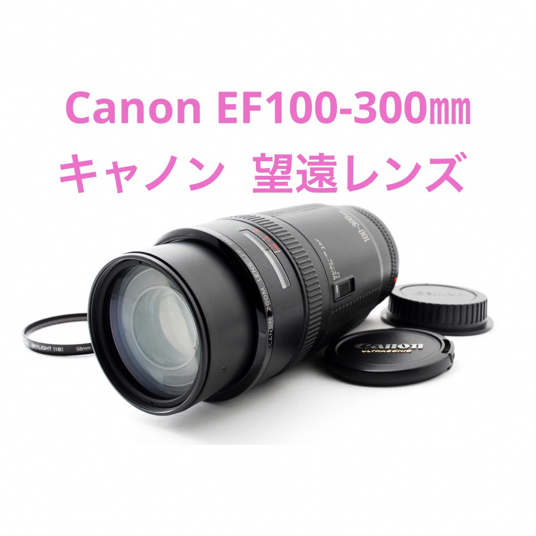 迫力の300㎜ Canon キヤノン 望遠レンズ EF100-300mm - レンズ(ズーム)