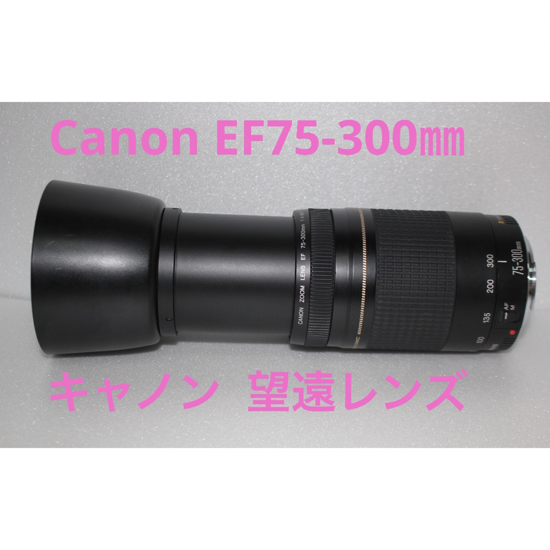 スポーツ☆イベント☆望遠レンズ☆キャノン Canon EF75-300㎜ - レンズ