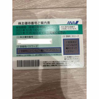 ANA全日空株主優待　1枚　期限2023/11/30まで(その他)