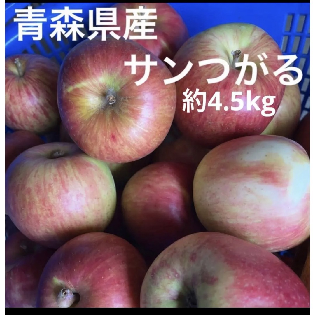 産地直送　サンつがる　青森県産　りんご　訳あり 食品/飲料/酒の食品(フルーツ)の商品写真