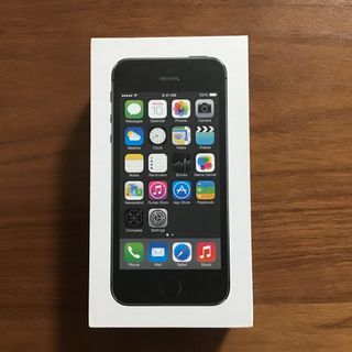 アイフォーン(iPhone)のiPhone5S スペースグレイ 空き箱 & イヤホン(その他)