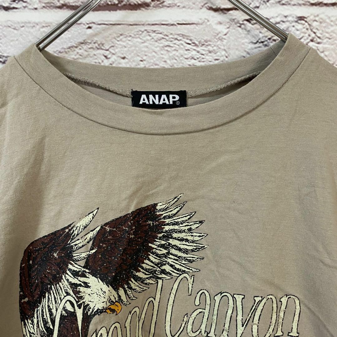 ANAP(アナップ)のANAP Tシャツ　半袖 メンズ　レディース　[ Free ] レディースのトップス(Tシャツ(半袖/袖なし))の商品写真