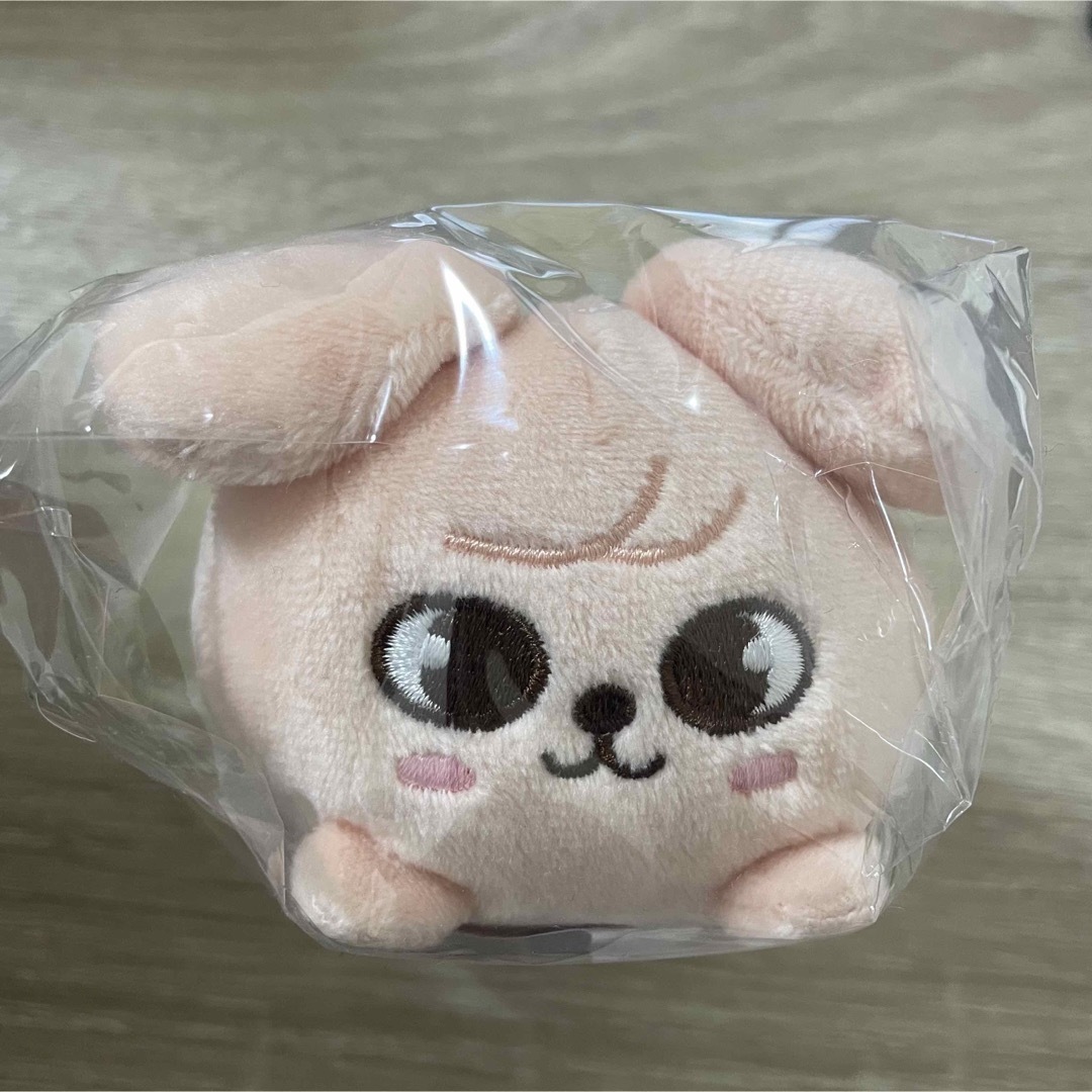 SKZOO スキズ Stray Kids あったかく ミニぬいぐるみ スンミン SKZOO スキズ Stray Kids あったかく ミニぬいぐるみ スンミン