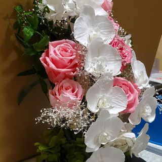 フラワーアレンジ ジャンボサイズ プリザーブドフラワー 造花無し 胡蝶