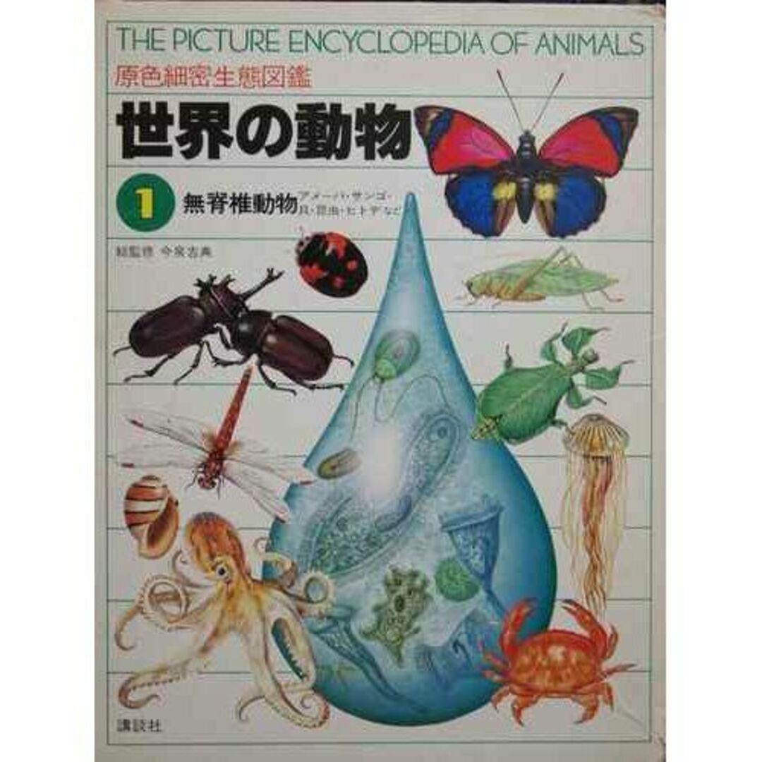 世界の動物―原色細密生態図鑑〈1〉無脊椎動物 アメーバ・サンゴ・貝・昆虫・ヒトデなど
