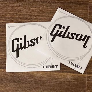 Gibson ギター 弦 10 2本(弦)