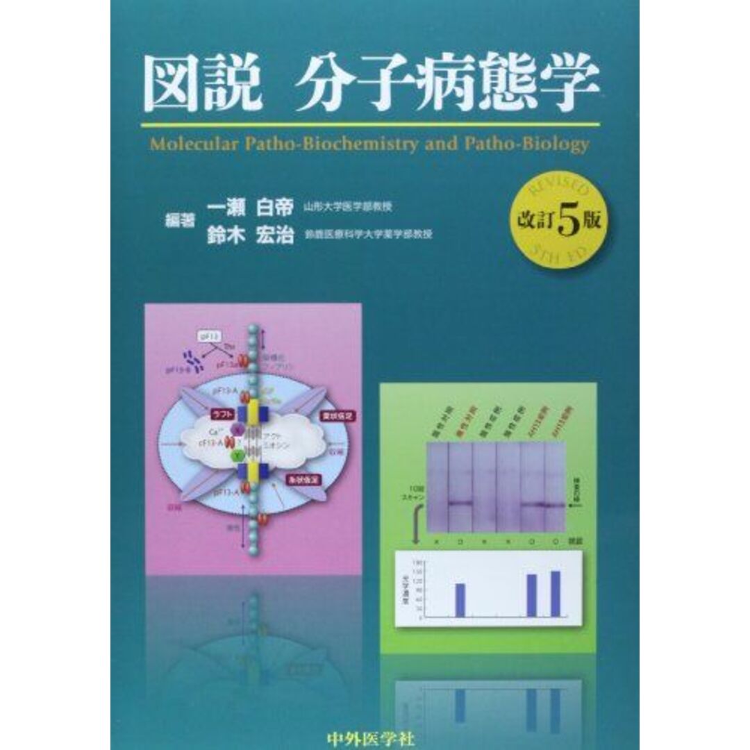 図説分子病態学 一瀬 白帝 エンタメ/ホビーの本(語学/参考書)の商品写真