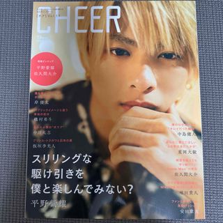 タカラジマシャ(宝島社)の抜けなし ＣＨＥＥＲ  ｖｏｌ．１１ 平野紫耀(アート/エンタメ)