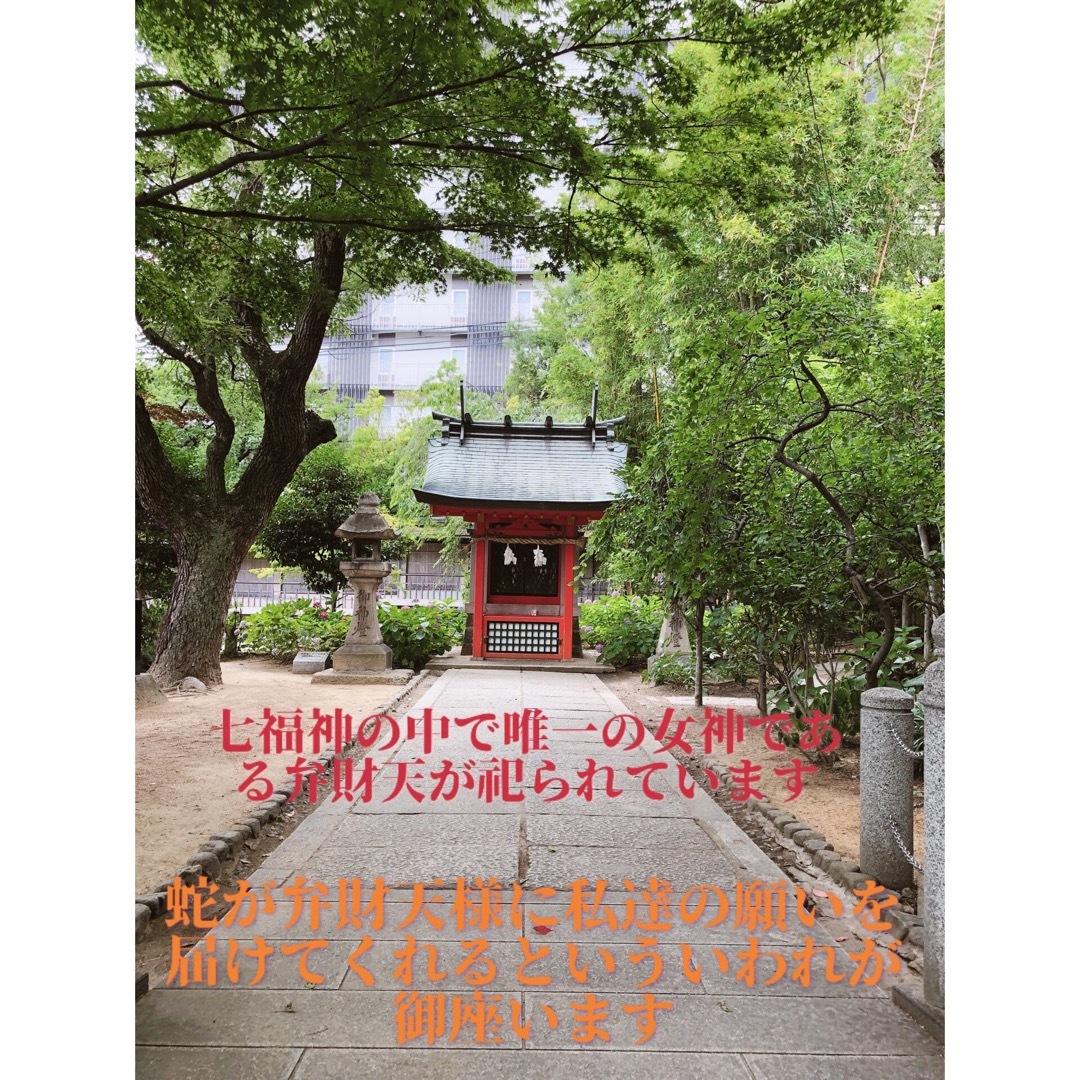 ◇❖蛇様と龍神白虎の心身健全・厄除け開運御守り❖◇ お守り 龍 帯封