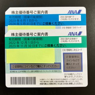 エーエヌエー(ゼンニッポンクウユ)(ANA(全日本空輸))のANA 株主優待2枚(航空券)