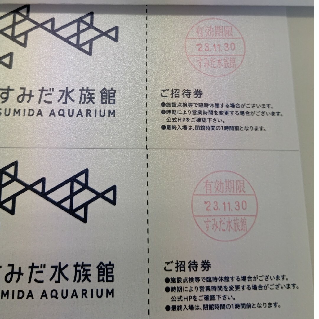 すみだ水族館 無料チケット２枚 チケットの施設利用券(水族館)の商品写真