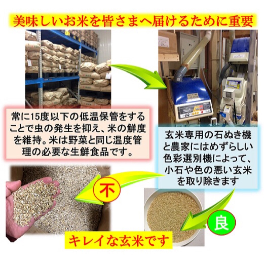 減農薬　新潟こしひかり白米90kg　新潟県三条市旧しただ村産　特別栽培米100%うるち米