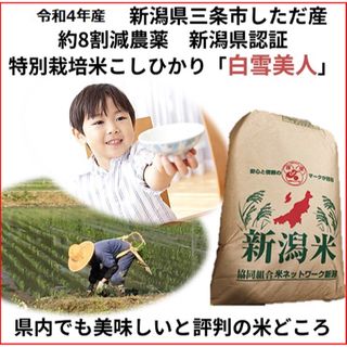 減農薬　新潟こしひかり白米90kg　新潟県三条市旧しただ村産　特別栽培米100%(米/穀物)