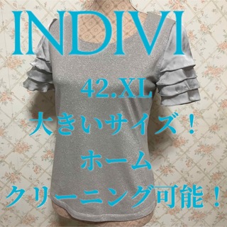 インディヴィ(INDIVI)の★INDIVI/インディヴィ★極美品★半袖カットソー42(カットソー(半袖/袖なし))