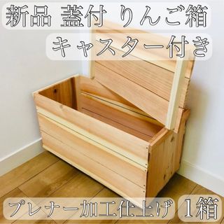 貝殻チャームつき˚✧₊瓶ごと流木12本セット 西海岸インテリア