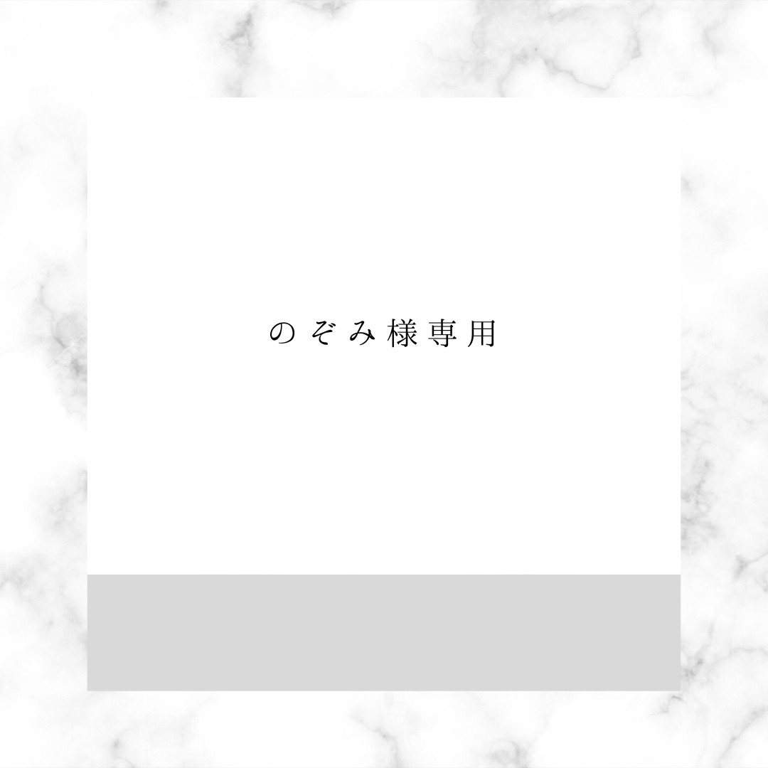 のぞみ様専用ページの通販 by PIYO's shop|ラクマ