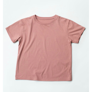 T shirt / lèvre リーカ　Tシャツ　レーベル　rihka(Tシャツ(半袖/袖なし))