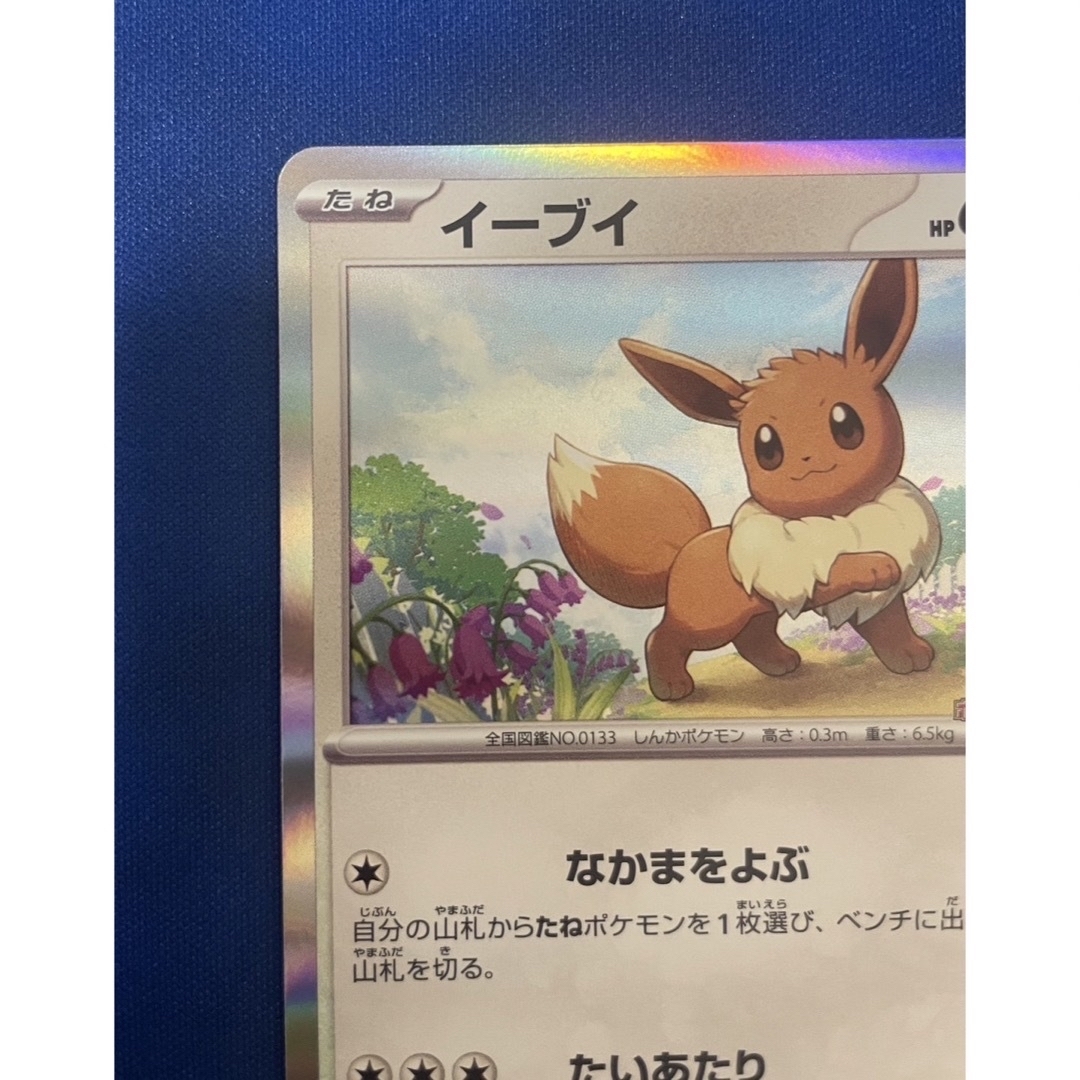 正規品 ポケモンカードゲーム教室 プロモカード イーブイ(傷あり 正規品 ポケモンカードゲーム教室 プロモカード イーブイ(傷あり