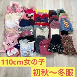 《まとめ売り》100cm女の子  初秋～冬服42点(Tシャツ/カットソー)