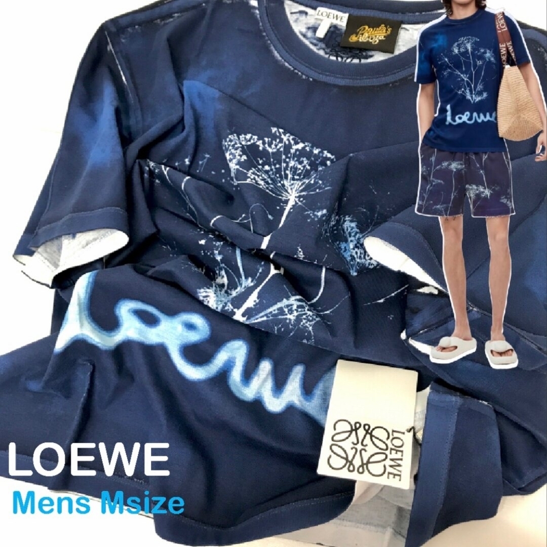 新品・正規品 Loewe Paul’s Ibiza フェンネルTシャツ
