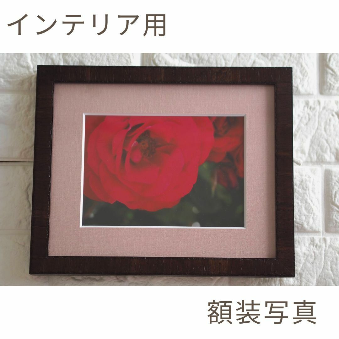 【インテリアアート】　額装写真　赤いバラのアップ写真　額縁付き