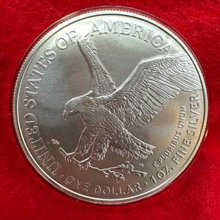 アメリカンイーグル 美術品/アンティークの通販 54点 | American Eagle