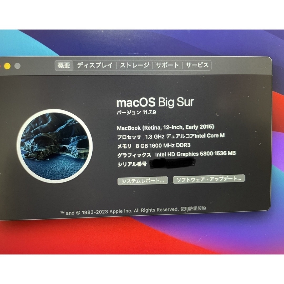 Apple MacBook 2015 12インチ 8GB 512GBジャンク