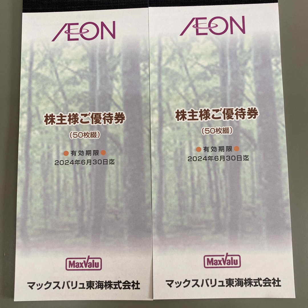 AEON(イオン)のマックスバリュ　株主優待券 チケットの優待券/割引券(ショッピング)の商品写真