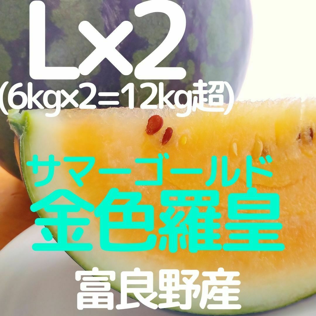 富良野産　黄色い西瓜　スイカ計12kg超　中玉×2　Lサイズ  金色羅皇食品/飲料/酒