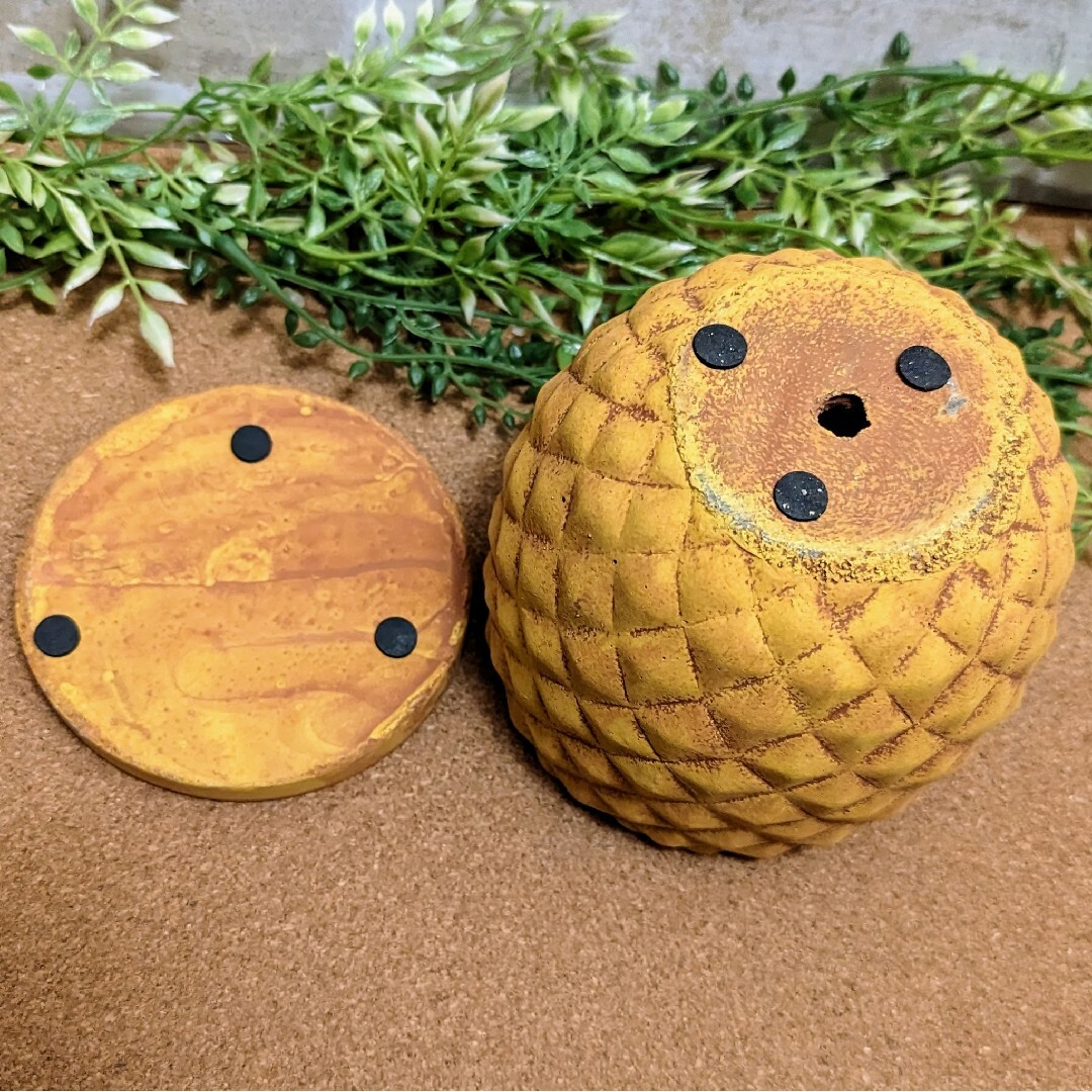 パイナップルポット(受皿付) OR 植木鉢プランター多肉植物プラ鉢 パイナップルポット(受皿付) OR 植木鉢プランター多肉植物プラ鉢