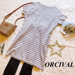 オーシバル(ORCIVAL)の【美品】ORCIVAL ボーダー　カットソー　チュニック　ワンピース　ベージュ(その他)