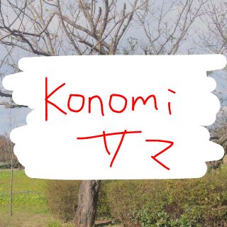 konomi様専用(その他)