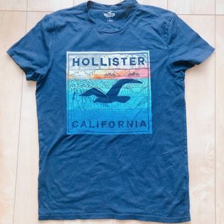 ホリスター(Hollister)の【美品】ホリスター　HOLLISTER プリントTシャツ(Tシャツ/カットソー(半袖/袖なし))