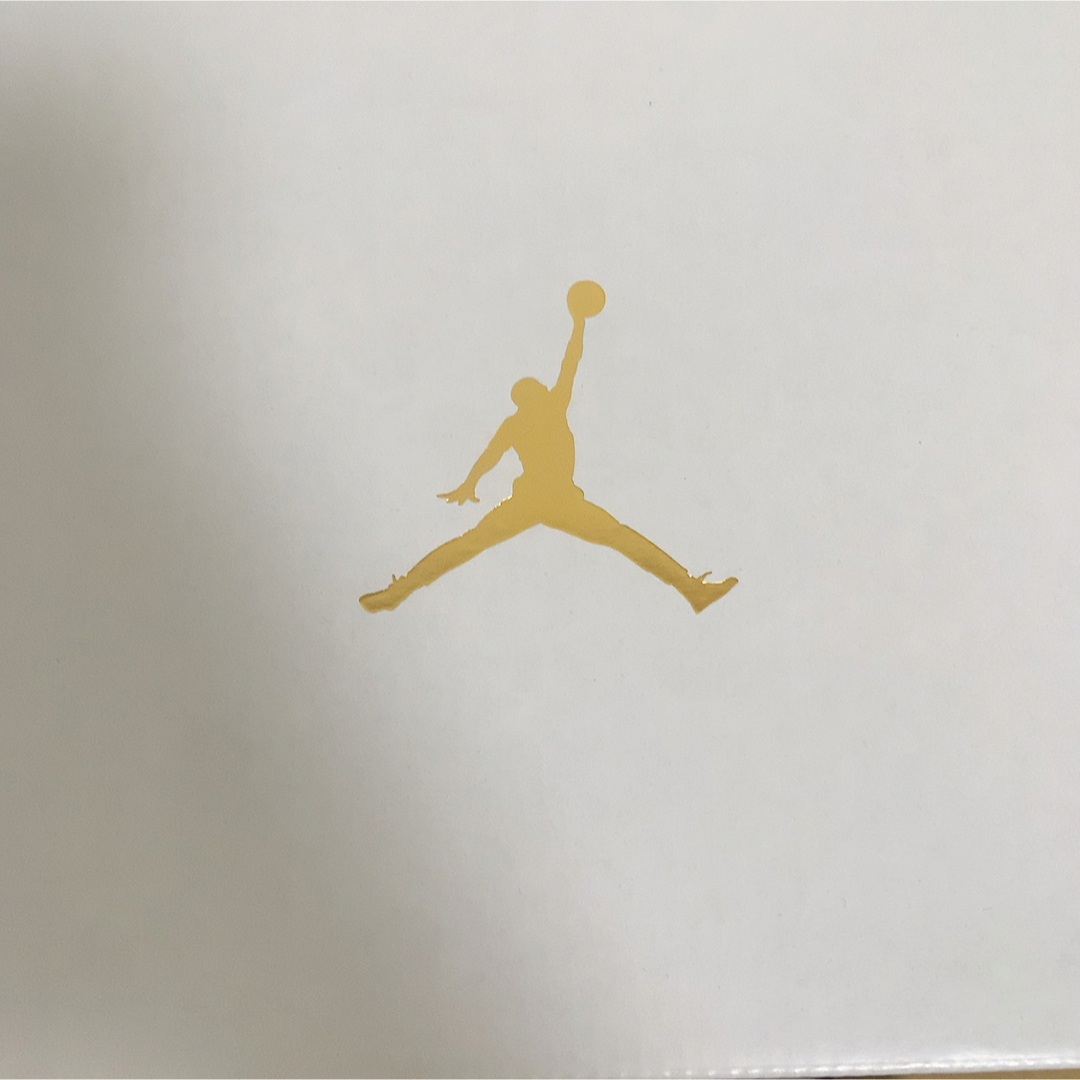 エアジョーダン1 mid NIKE WMNS AIR JORDAN パンダ