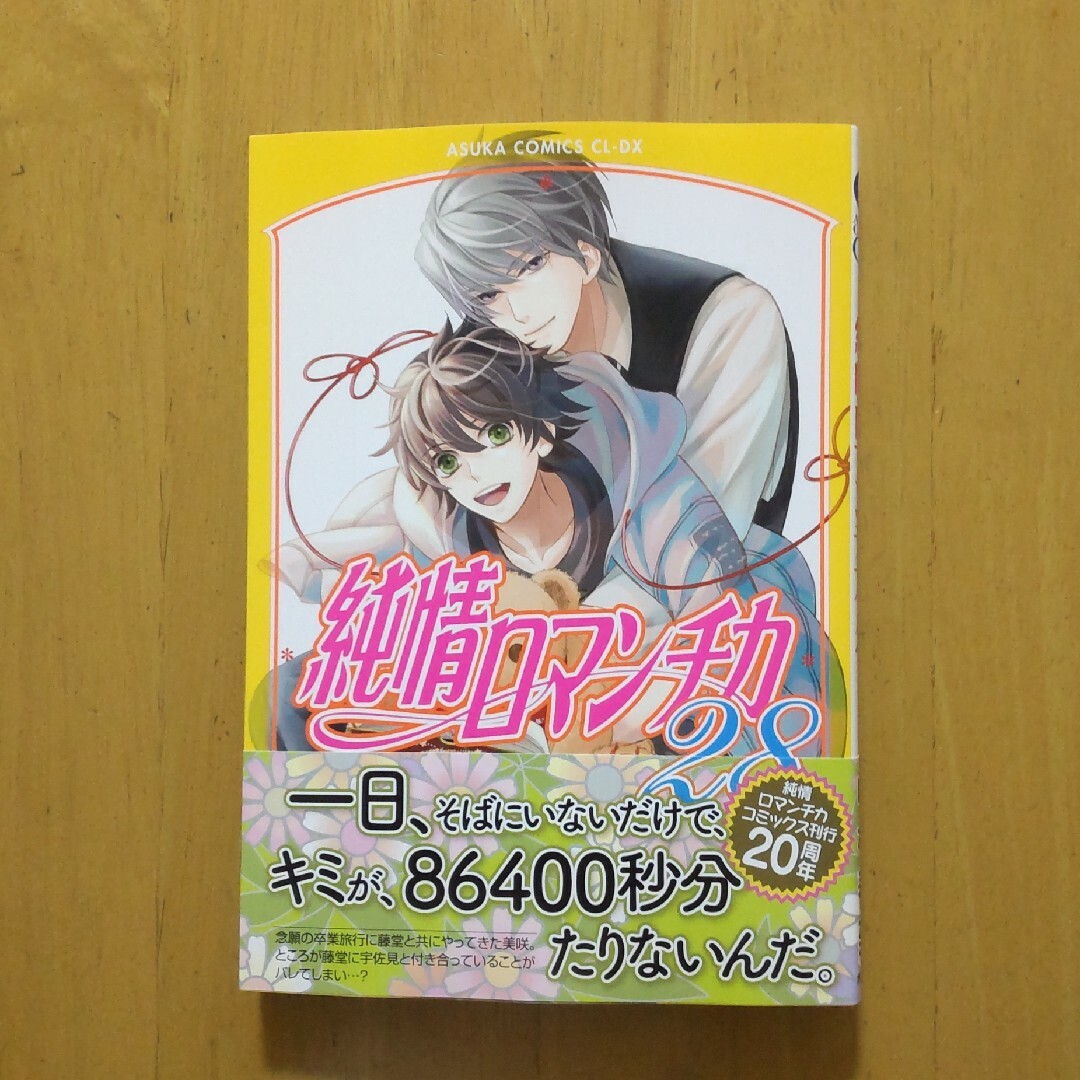 純情ロマンチカセット1~25巻+小説 - 女性漫画 純情ロマンチカセット1~25巻+小説 - 女性漫画