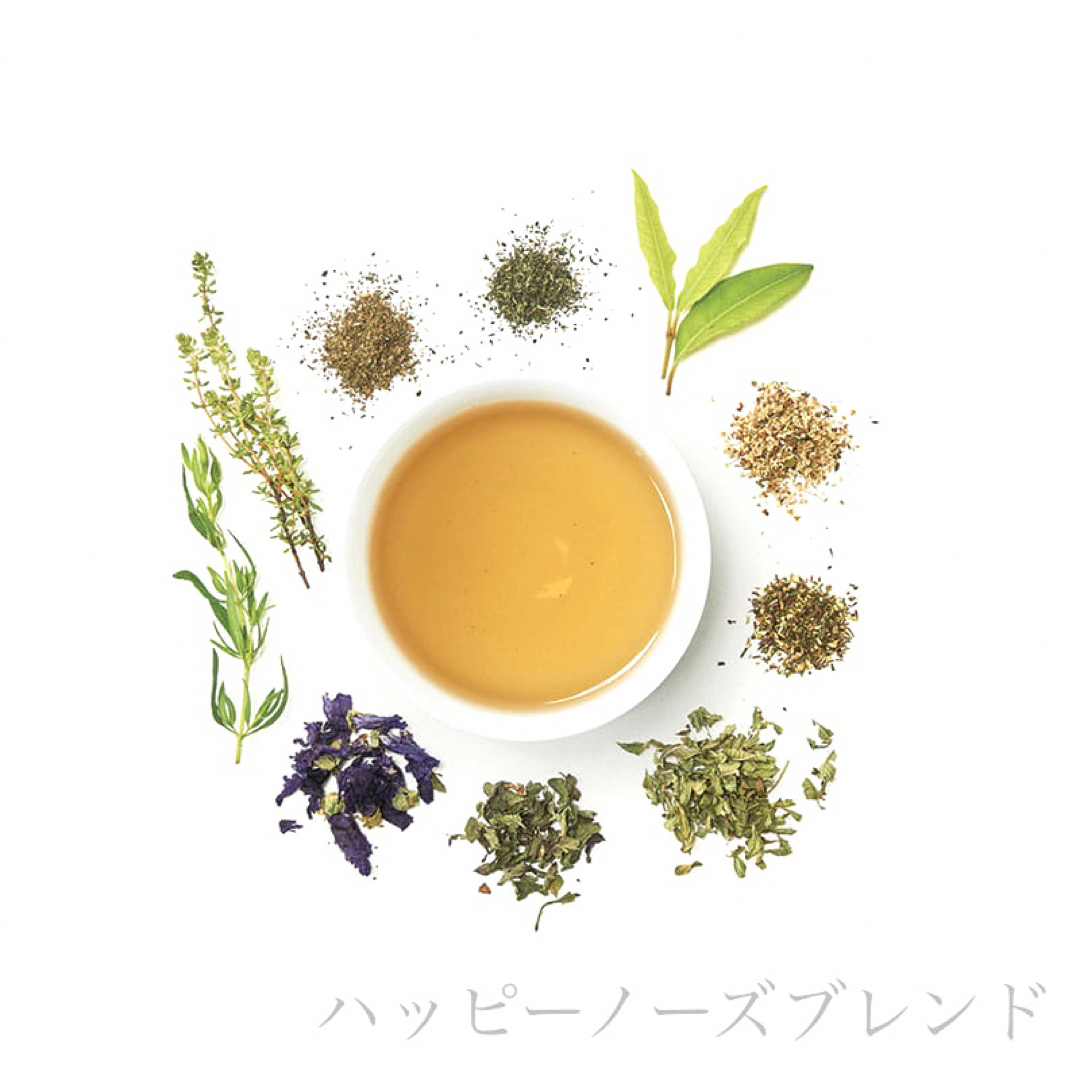 生活の木(セイカツノキ)の花粉症対策のお茶　ハッピーノーズブレンド　私の30日茶　ティーバック15包 食品/飲料/酒の健康食品(健康茶)の商品写真