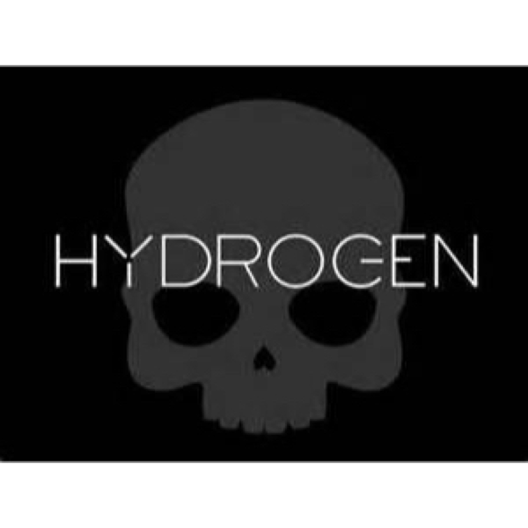 HYDROGEN(ハイドロゲン)の【美品】ハイドロゲン　Tシャツ　サンダースカル柄 メンズのトップス(Tシャツ/カットソー(半袖/袖なし))の商品写真